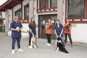 Clinique vétérinaire Alaiki Marexalak à Espelette