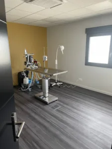 Clinique vétérinaire de Sablons – Chien?Chat?NAC – Consultation et Chirurgie à Sablons