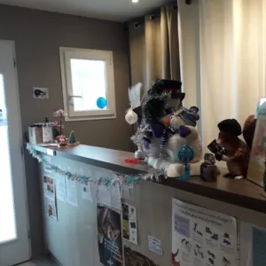 Mme Gerard Karine à Rontalon