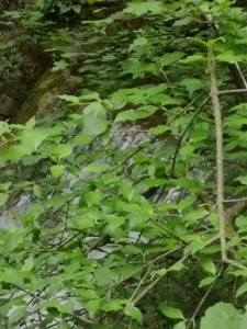 Clinique vétérinaire de la source à Saint-Zacharie