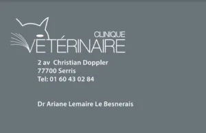 The Ariane-Lemaire Besnerais à Serris