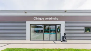 Veterinary Clinic Stadium (Hilbert-Mognetti) à Verquin