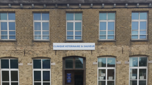Clinique Vétérinaire Saint Sauveur à Quaëdypre