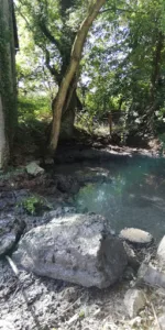 Moles Yannick Jean Marie Alain à Vironvay