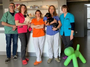 Veterinary clinic of arnoult à Pont-l'Abbé-d'Arnoult