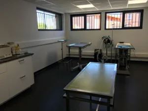 Veterinary Clinic Doctors Dambo and Ligeard à Saint-Alban