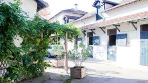 Clinique vétérinaire du Parc – Maisons-Laffitte à Maisons-Laffitte