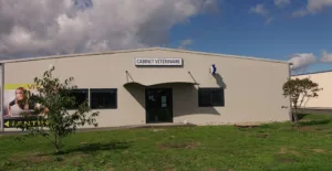 Cabinet Vétérinaire du Rouch à Lavaur