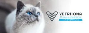 VETRHONA – Clinique Vétérinaire Tain l’Hermitage à Tain-l'Hermitage