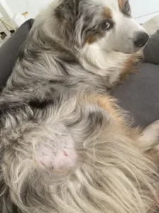 Loshouarn Françoise à Mirabel-aux-Baronnies