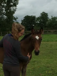 Pauline Ducousso – Ostéopathe animalier inscrite au RNA OA24 (équin, canin, félin, bovin, NAC …) – Aube/ Grand Est à Val-d'Auzon