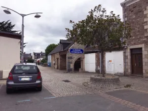 Vétérinaire Chirurgien Orthopédiste (Clinique des Islandais) à Paimpol