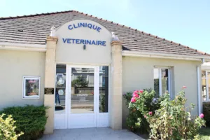 Clinique vétérinaire de la route de Lyon à Moulins