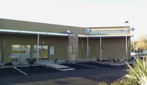 Veterinary Clinic Helios à Pujols