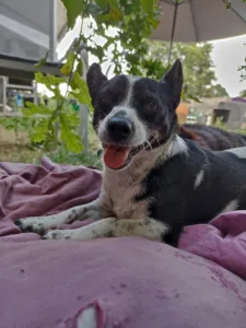 Clinique de La Garenne à Langon