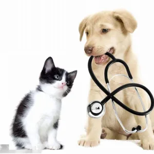 My Home Vet – Vétérinaire à domicile à Mouans-Sartoux