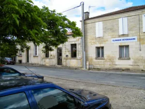 Dr Sophie Le Bouc à Floirac