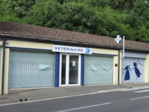 Liska Claire- New Vet à Floirac