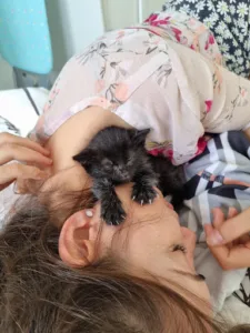 Venier Franck à Villepinte