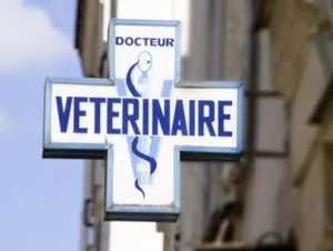 Veterinary Clinic Doctors Rancelant and Zara à Le Pontet