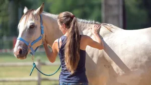 HOLOS ENERGEIA à Lisle