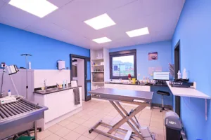 Clinique vétérinaire des Lianes à Beaurainville