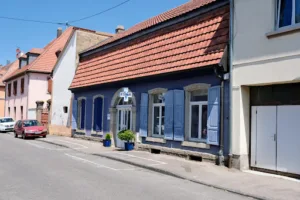 Clinique Vétérinaire Saint Jean à Neuf-Brisach