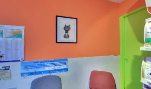 Veterinary Clinic Doctor Slakmon à Paray-Vieille-Poste