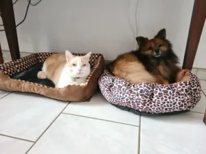 FORCLOS MARIE à Hagetmau