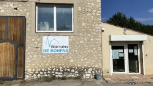 Vétérinaires De Bonpas à Noves