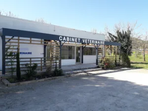 Cabinet vétérinaire de Pazayac Docteur Hubert à Pazayac