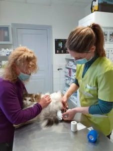 Veterinary Clinic Dr. Dantzer à Moosch