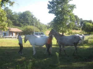 Grégoire Philippe à Saint-Martin-d'Ary