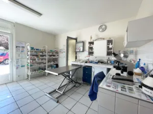 Cabinet vétérinaire à Coutras