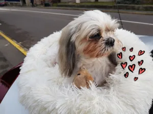 Decock Christophe à Saint-Leu-la-Forêt