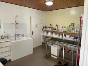 Cabinet Vétérinaire VPLUS de Saint Savin à Saint-Savin