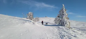 Clinique Veterinaire à Wallers