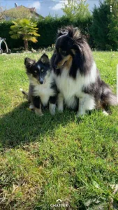 Opht in Blue à Allonzier-la-Caille