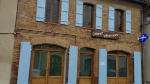 Vétérinaire Apivéto à Cadours