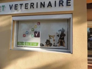 Cabinet Vétérinaire médico-chirurgical de la vallée des Baux à Maussane-les-Alpilles