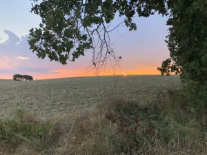 Galard De Anne à Magnas