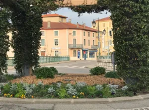 CABINET VETERINAIRE DU DOCTEUR VINCENT à Saint-Vallier