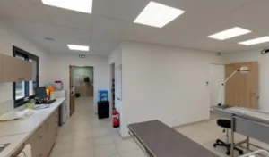 Clinique Vétérinaire du Salignacois à Salignac-Eyvigues
