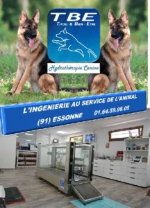 TBE Titou et Bien Etre à Courson-Monteloup