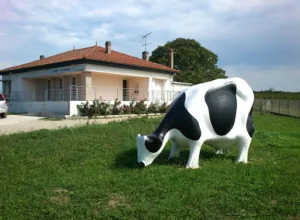 Cabinet Vétérinaire de Marguerite à Saint-Émilion