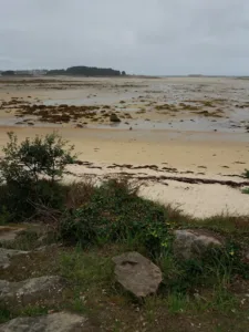 cabinet Vétérinaire de Trébeurden à Trebeurden