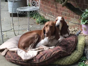 Drs Laurence et Xavier Michaux à Châteauneuf