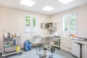 Cabinet Bel Air Vétérinaire à Bois-le-Roi