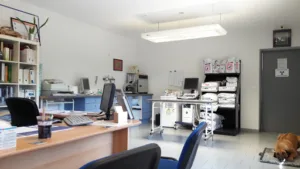 Vétérinaire Alain Mahieux à Tresques