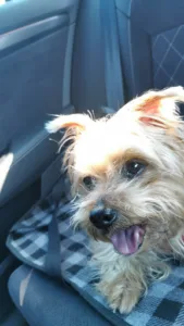 Agneray Michel à Saint-Cyprien